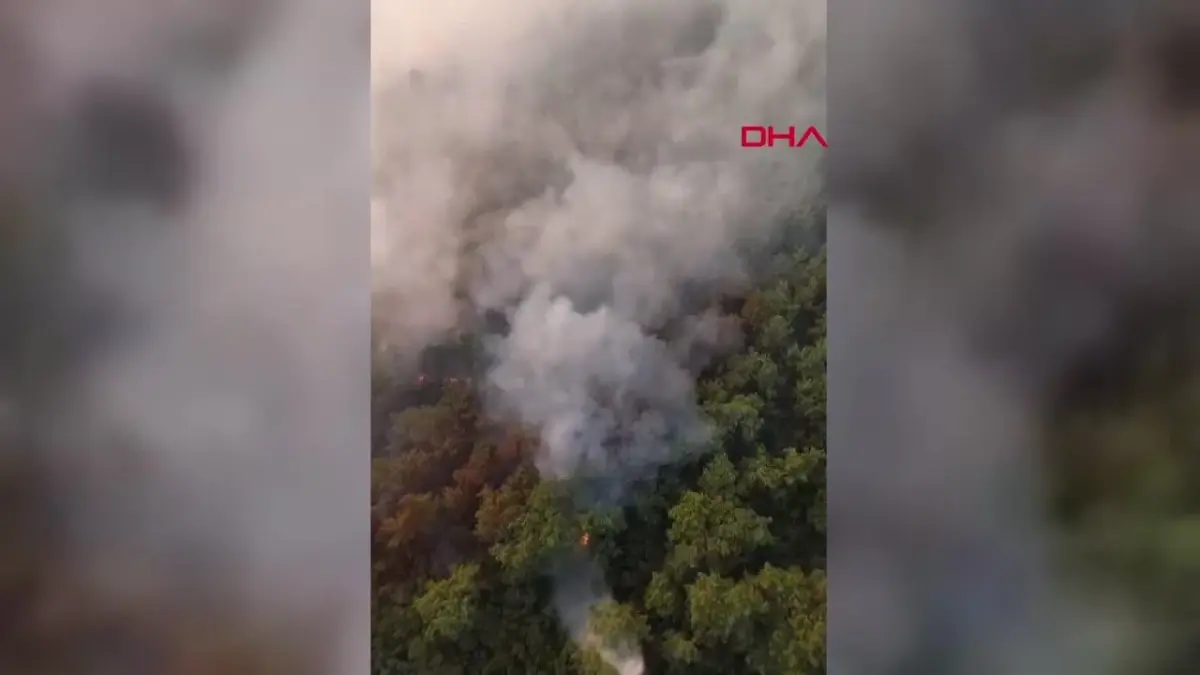 Kemer\'deki Orman Yangınına Havadan Müdahale Başladı