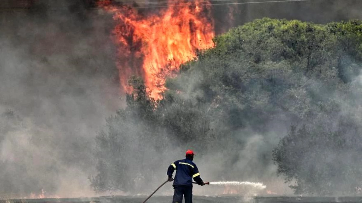 Avrupa\'da Sıcak Hava Dalgaları ve Orman Yangınları Devam Ediyor