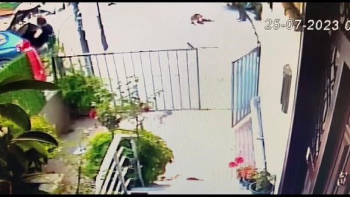 Büyükçekmece\'de Servis Şoförü Köpeği Ezdi, Diğer Sürücü Veterinere Götürdü