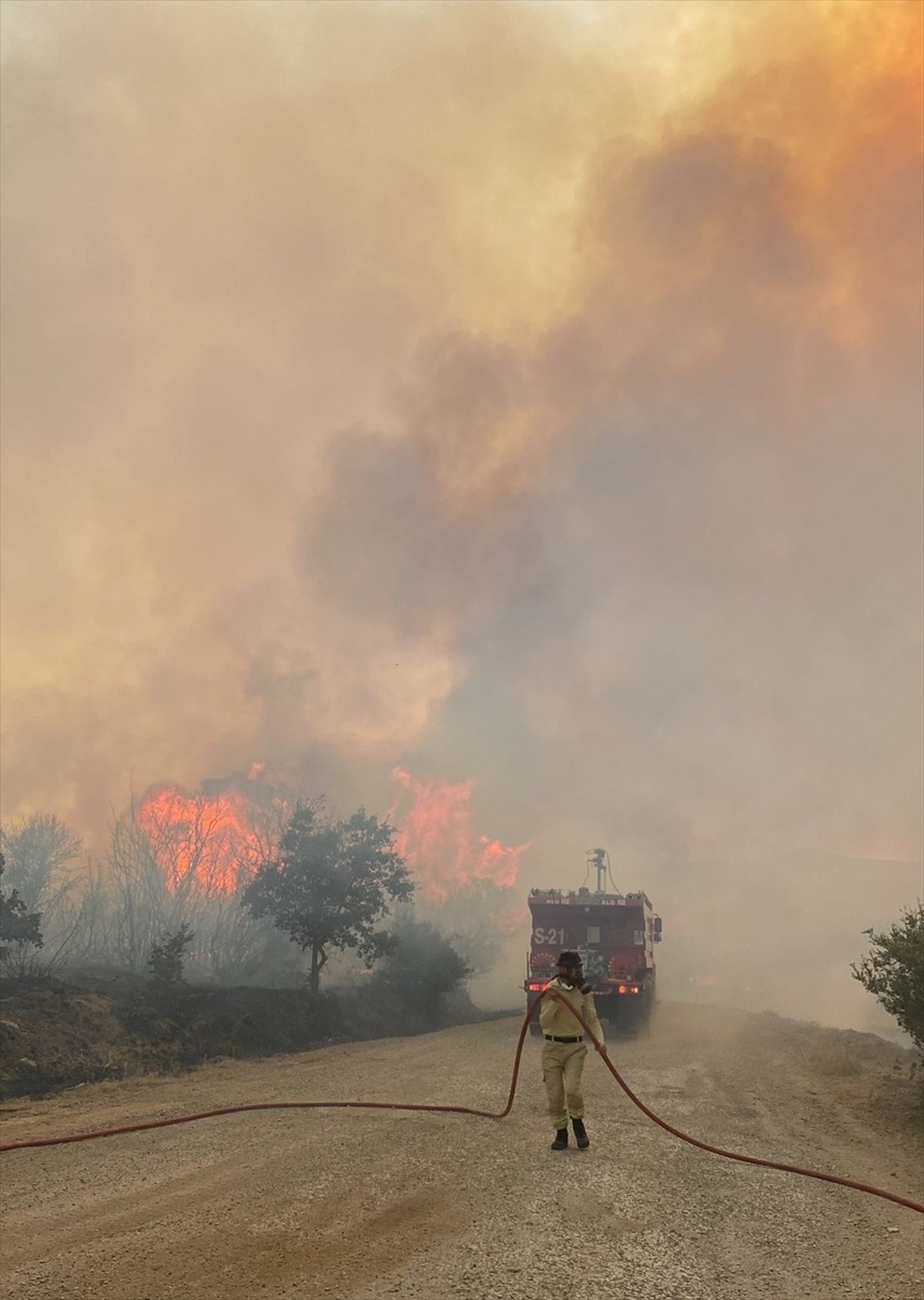 Çanakkale\'nin Biga ilçesinde orman yangınına müdahale ediliyor