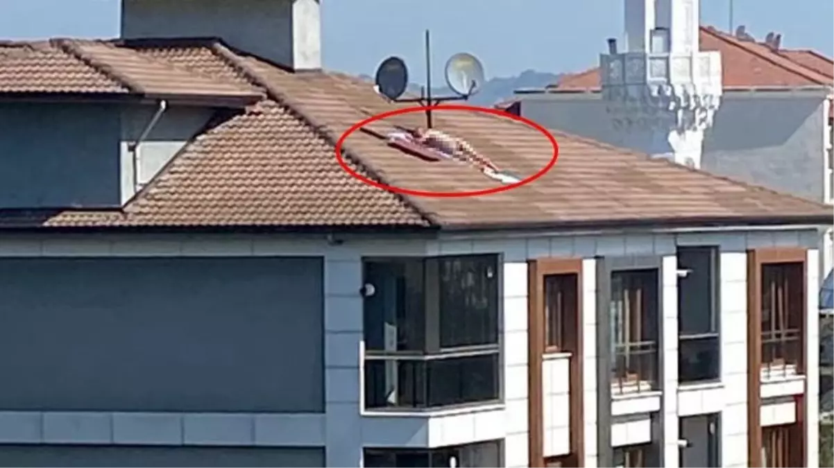 Çatıda çıplak şekilde güneşlenen şahıs, polis sirenini duyunca kaçtı