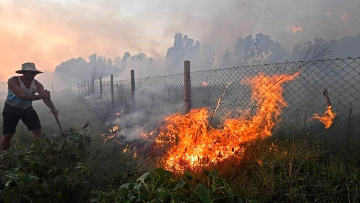 Cezayir\'de Orman Yangınlarında En Az 34 Kişi Hayatını Kaybetti