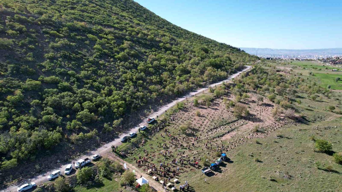 Talas Belediyesi Ali Dağı\'na 60 Bin Fidan Dikti