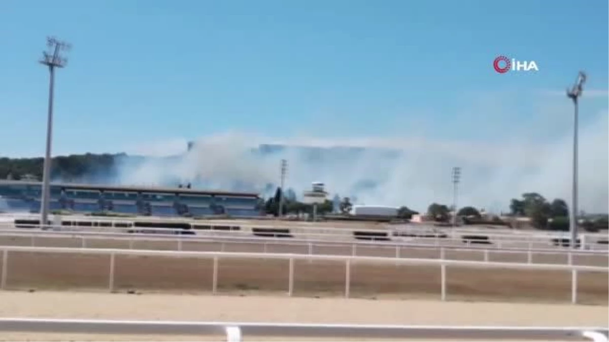 Fransa\'da havaalanı yakınında orman yangını