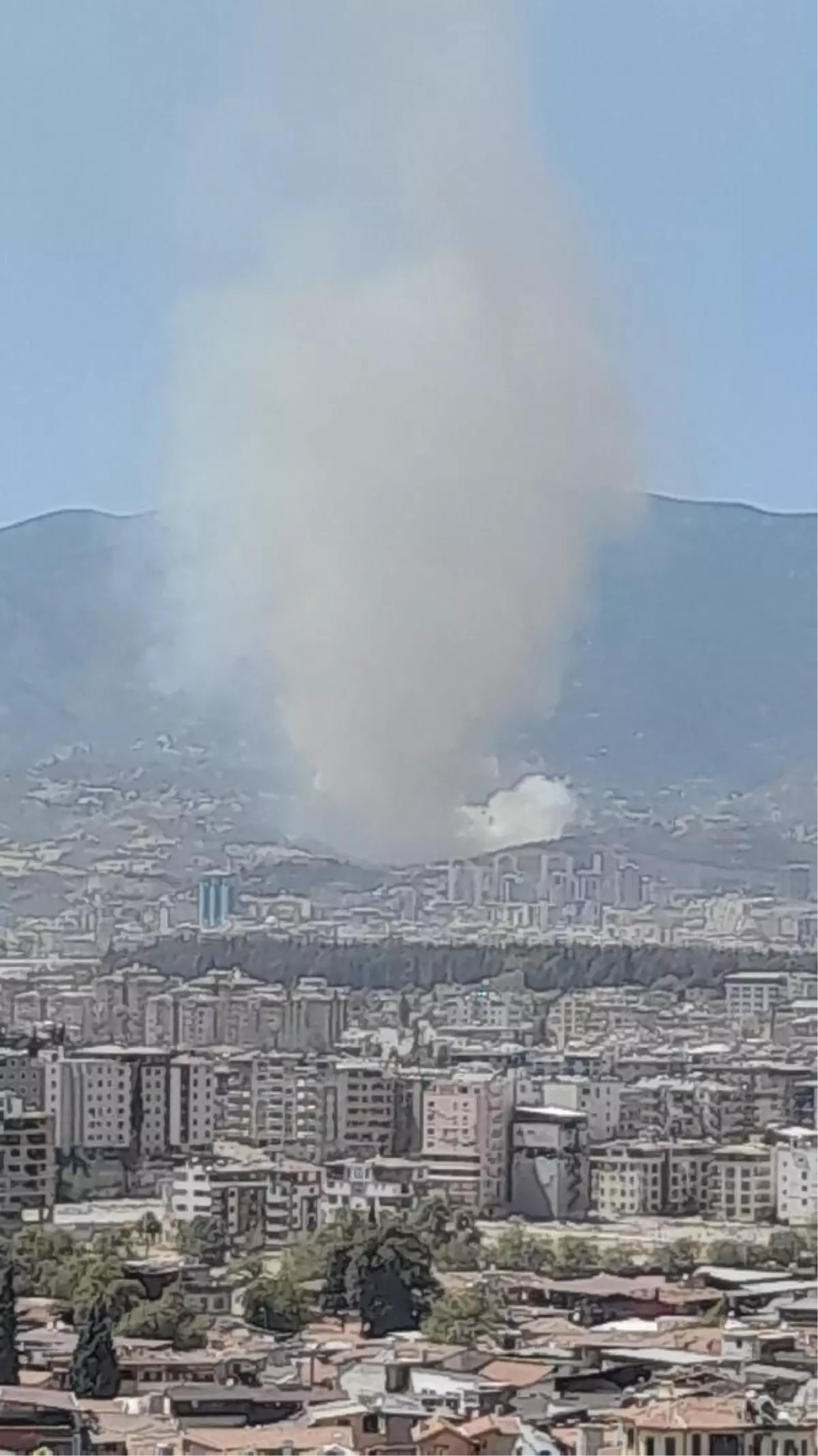 Antakya\'da Orman Yangını Çıktı