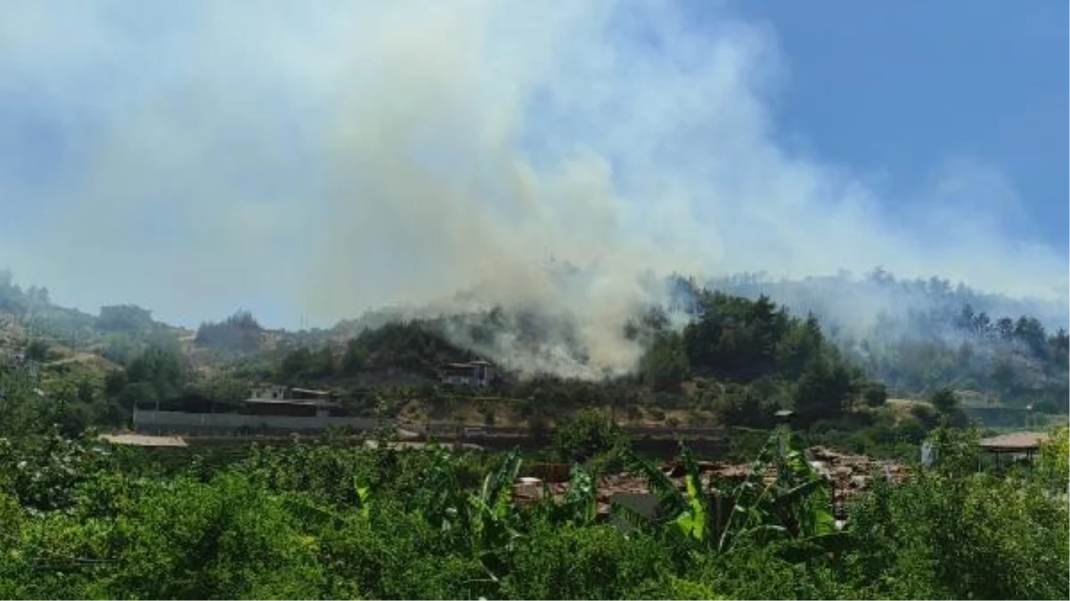 Hatay\'da Ormanda Çıkan Yangın Kontrol Altına Alındı