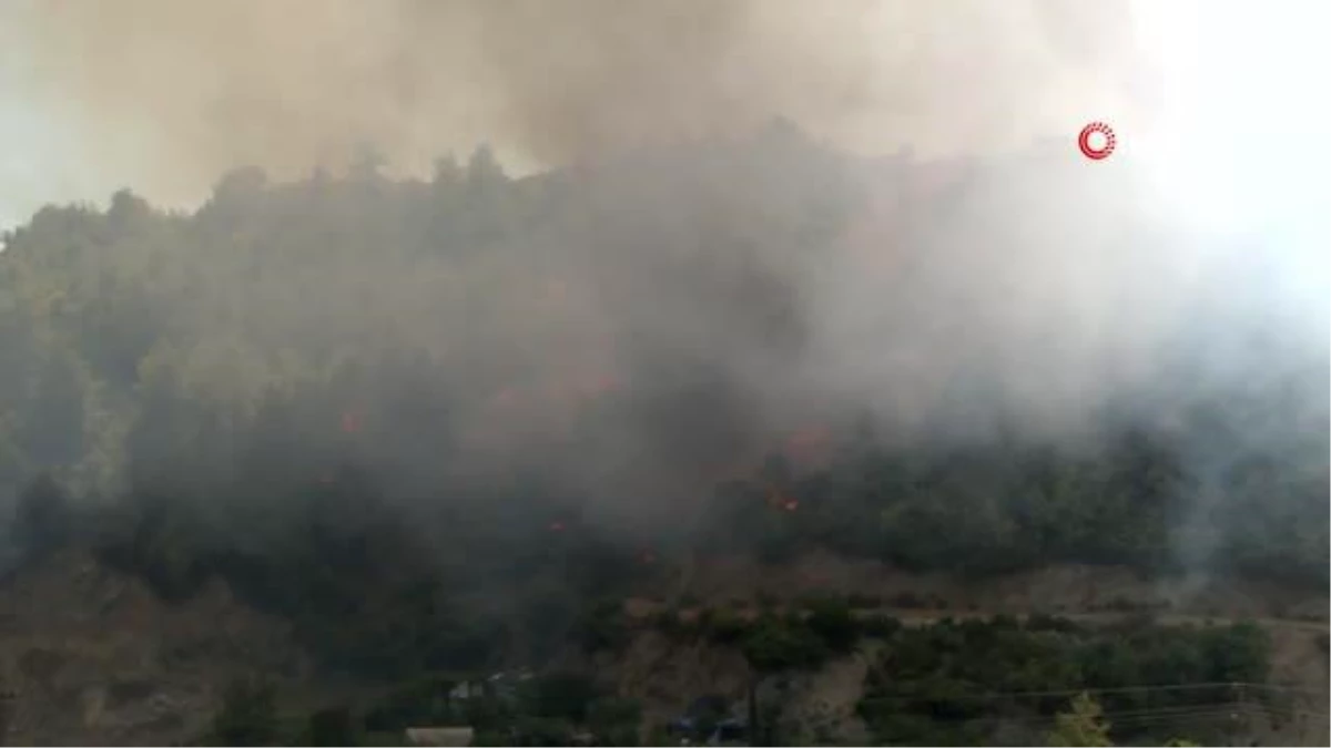 Hatay\'da orman yangını: Havadan ve karadan müdahale başladı