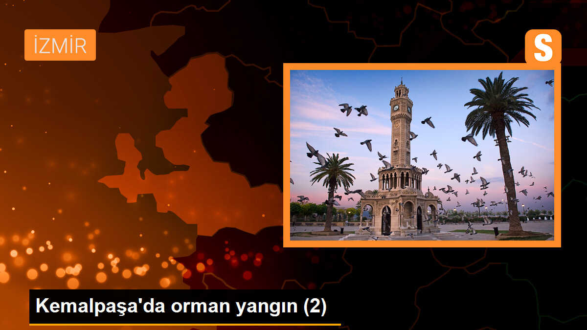 Kemalpaşa\'da orman yangın (2)
