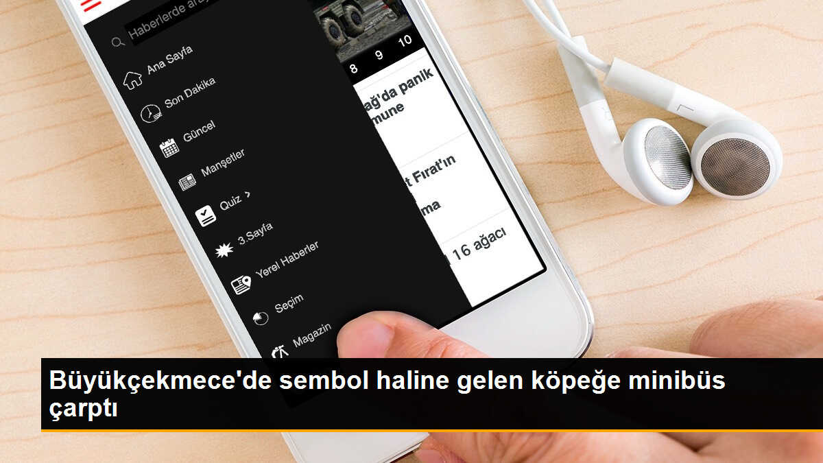 Büyükçekmece\'de sembol haline gelen köpeğe minibüs çarptı