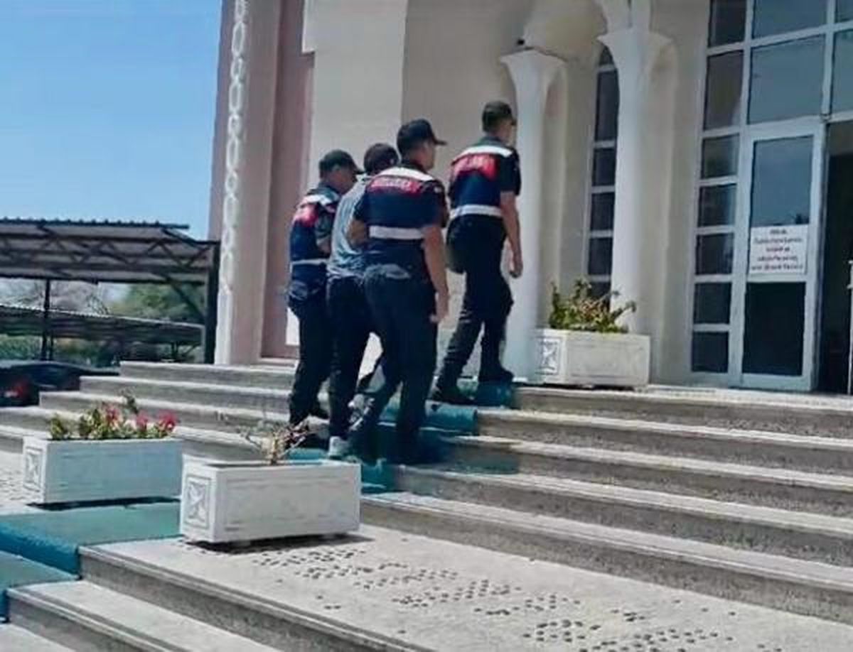 Muğla\'da çıkan yangında 9 hektar alan zarar gördü, şüpheli tutuklandı
