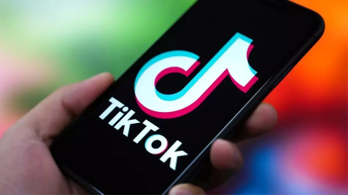 TikTok: Çocuklar neden hayatlarını riske atan \'meydan okumalara\' katılıyor?