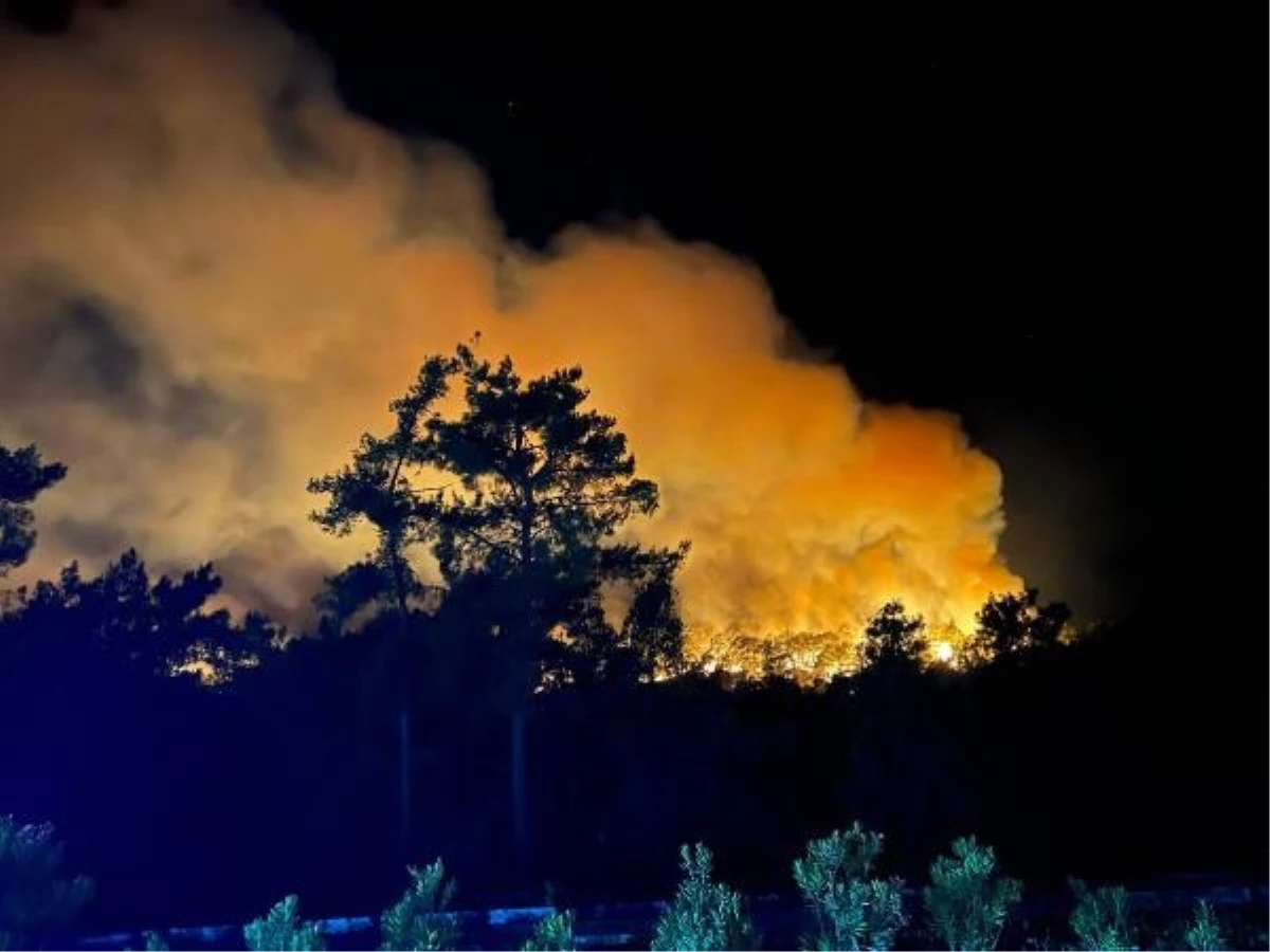 Vali Yazıcı: Rüzgar Yangının Batı İstikametinde İlerlemesini Sağlıyor