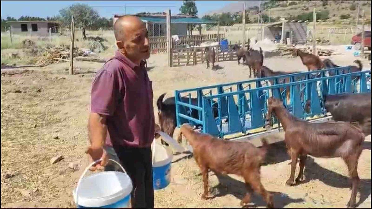 Kayseri Hacılar\'da Hayvancılar Susuzlukla Mücadele Ediyor