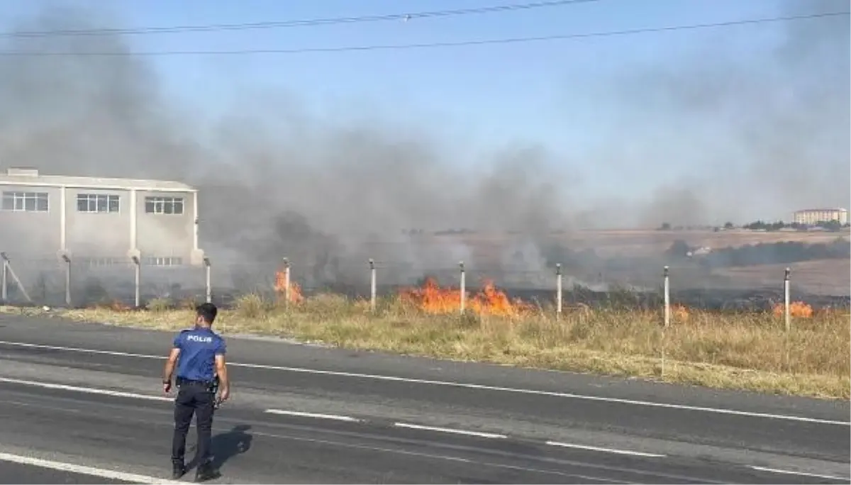 Çorlu'da Anız Yangını Fabrikaya Ulaşmadan Söndürüldü