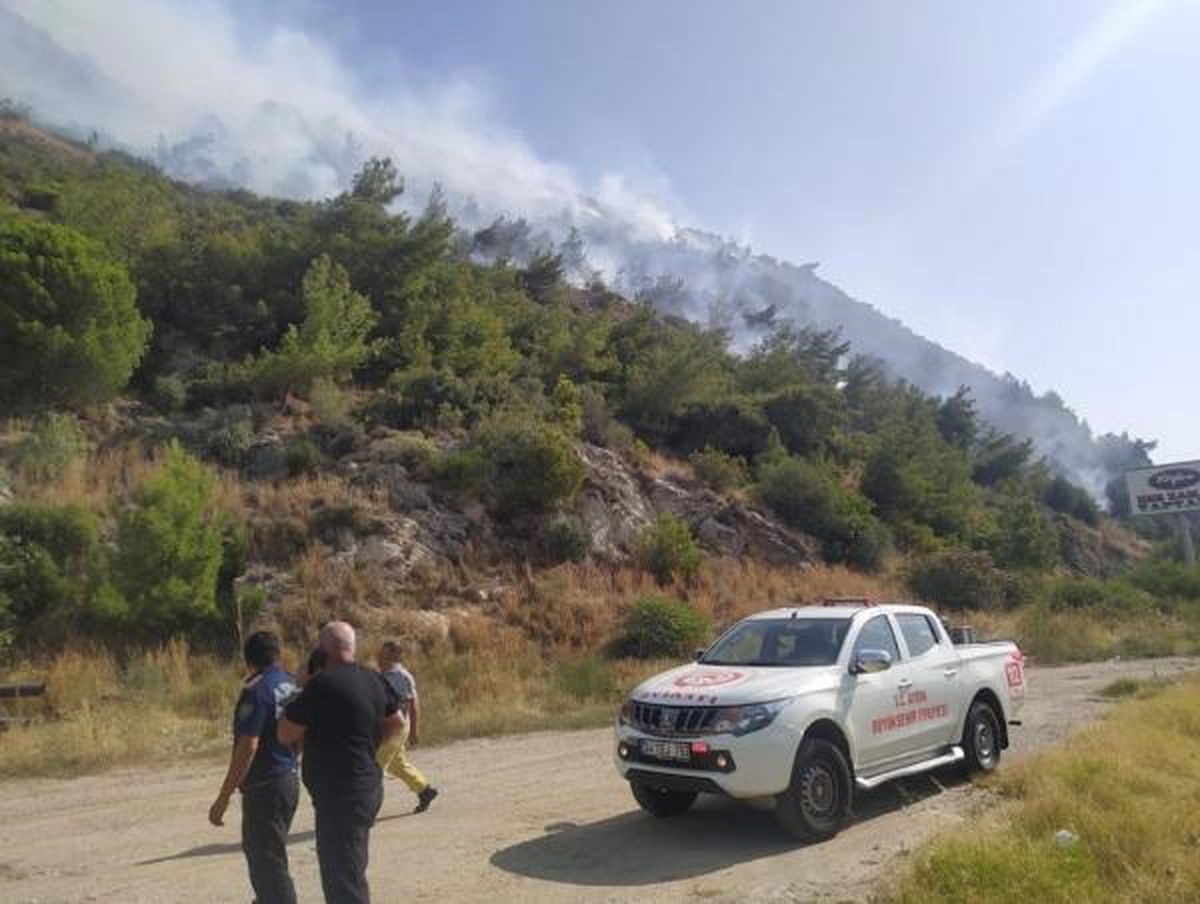 Aydın Söke\'de çıkan orman yangını 2,5 saatte kontrol altına alındı