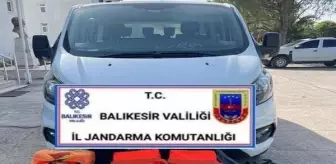 Ayvalık'ta 251 Kaçak Göçmen Yakalandı, 2 Organizatör Tutuklandı