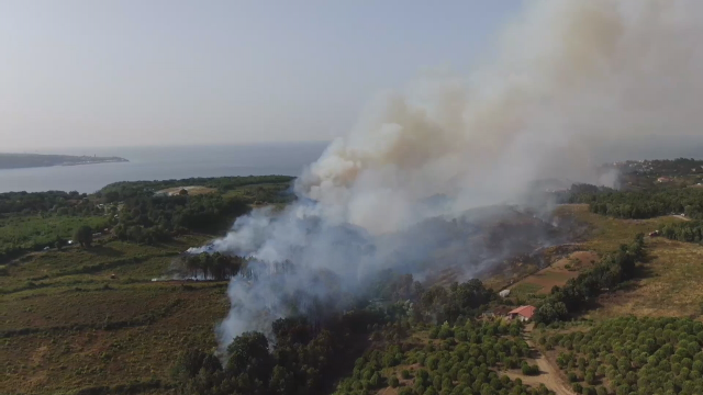 Beykoz'da orman yangını! Havadan ve karadan müdahale ediliyor