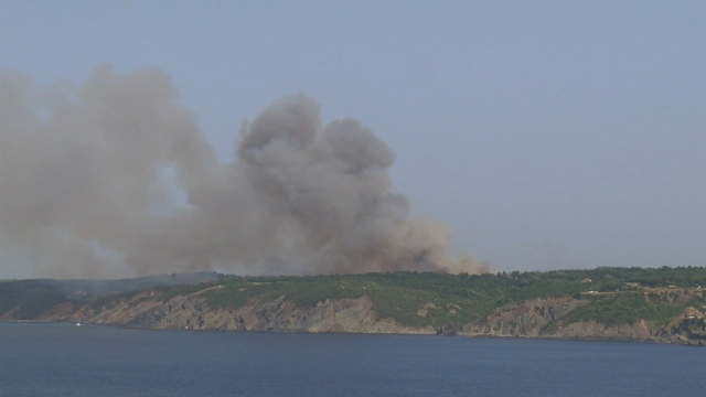 Beykoz'da orman yangını! Havadan ve karadan müdahale ediliyor