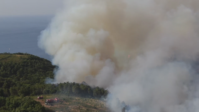 Beykoz'da orman yangını! Havadan ve karadan müdahale ediliyor