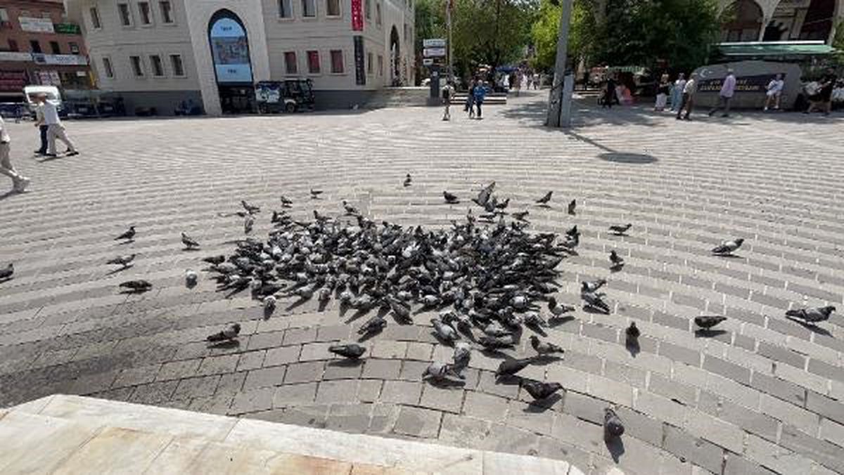 Sıcak Hava Nedeniyle Bursa\'da Cadde ve Sokaklar Boşaldı