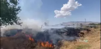 Elazığ'da 100 hektarlık arazide çıkan yangın kontrol altına alındı
