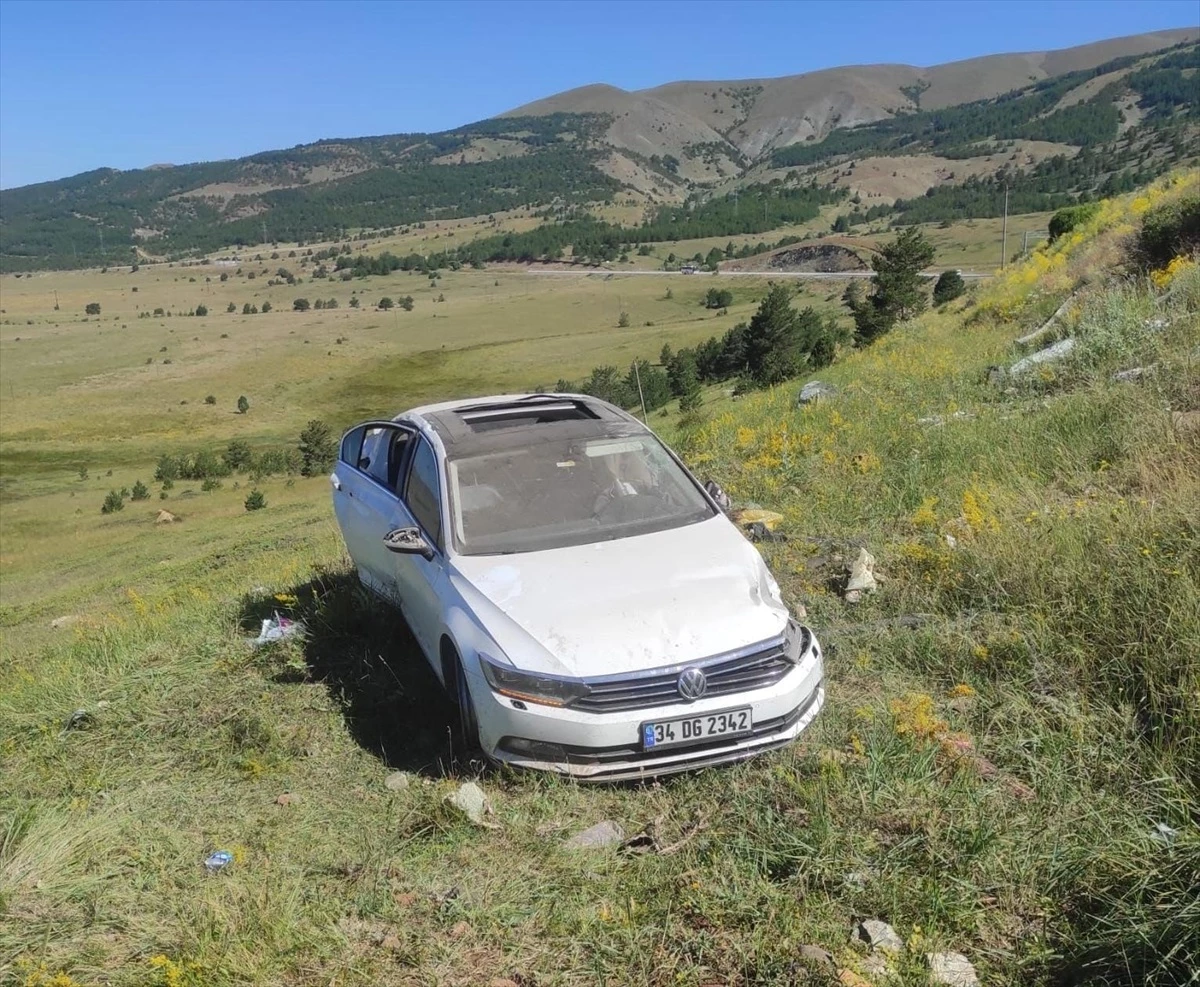 Erzincan\'da otomobilin şarampole devrilmesi sonucu 5 kişi yaralandı