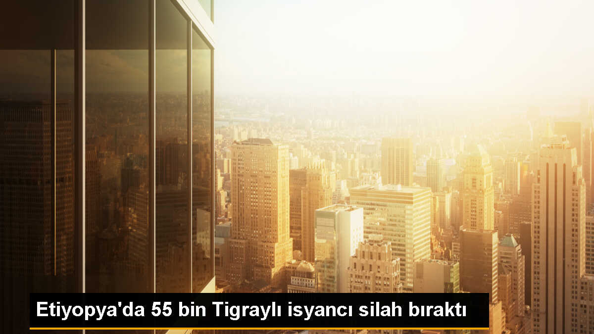 Etiyopya\'da isyancılar barış anlaşması kapsamında silah bıraktı