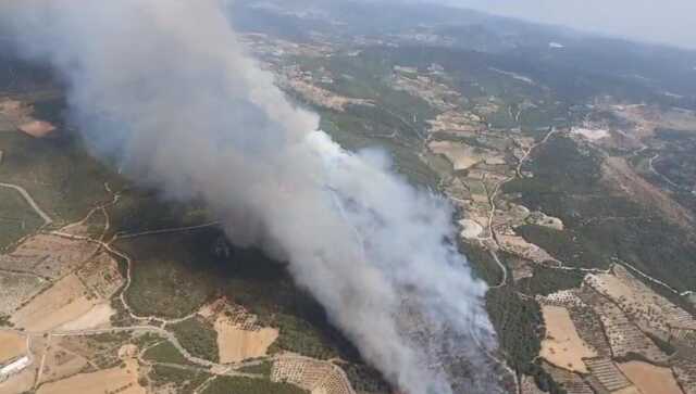 İzmir'de Orman Yangınlarına Havadan ve Karadan Müdahale
