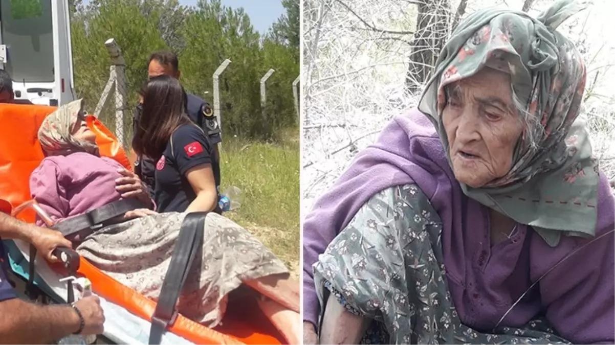 Ot toplamak için evden çıkan 105 yaşındaki kadın, 28. saat sonra bulundu