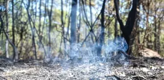 Kemer'deki Yangın Büyüyor