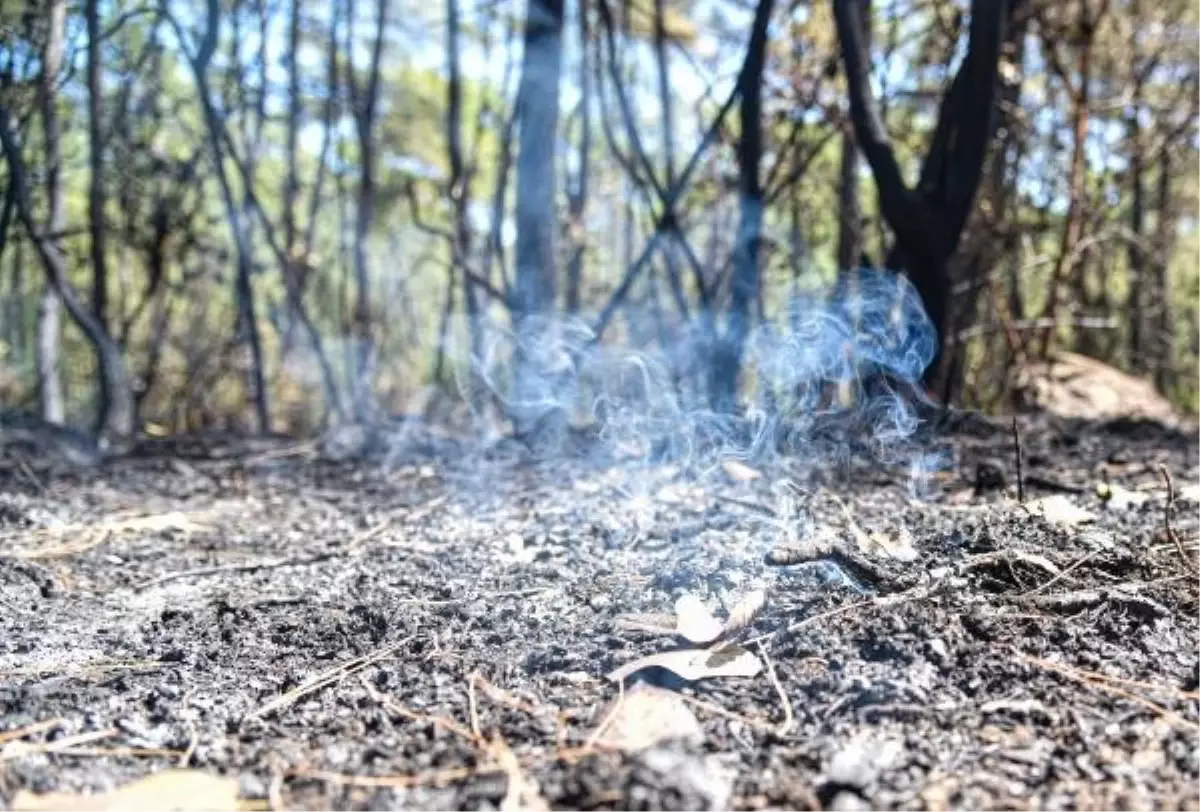 Kemer'deki Yangın Büyüyor