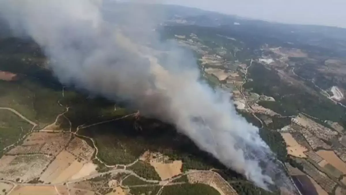 İzmir Kınık\'ta Ormanda Yangın Çıktı