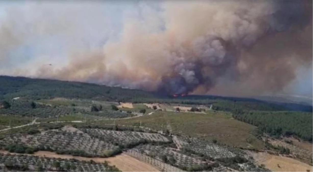 İzmir\'deki Orman Yangınında 3 Mahalle Boşaltıldı
