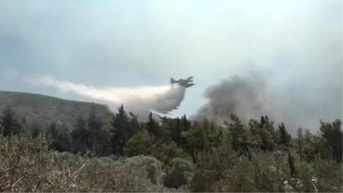 Yunanistan\'ın Rodos Adasında Orman Yangınlarına Karşı Mücadele Devam Ediyor