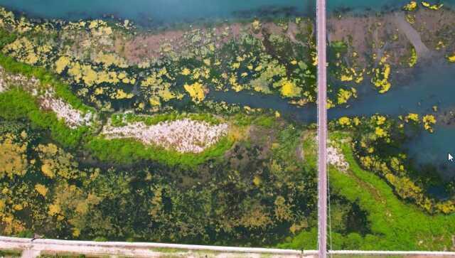 Seyhan Nehri can çekişiyor: Yosunlar nehri istila etti, otlar insan boyuna yaklaştı