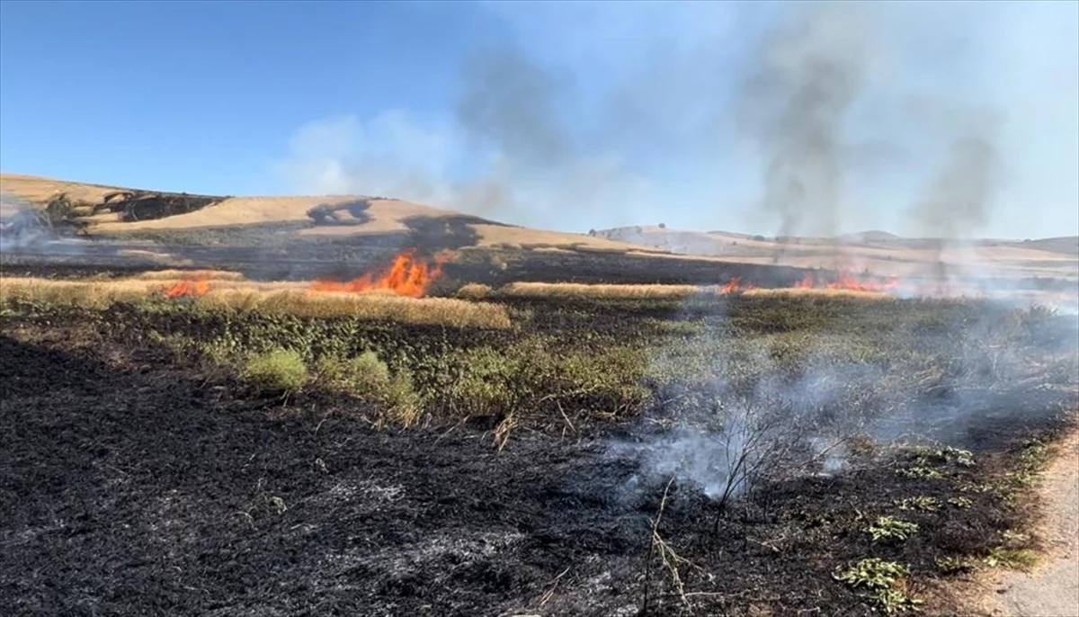 Sivas\'ın Akıncılar ilçesinde çıkan yangın 30 dönüm buğday tarlasını zarara uğrattı