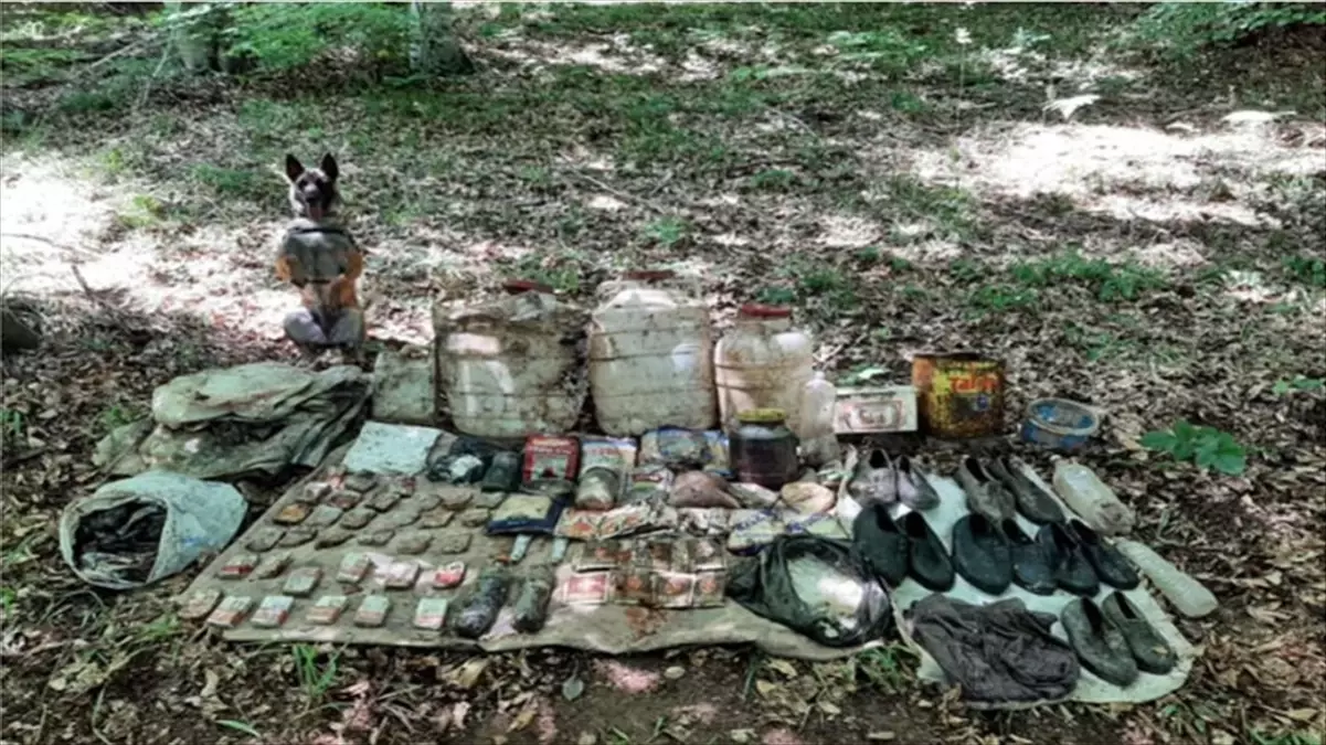 Tokat\'ta DHKP/C\'ye ait sığınak imha edildi