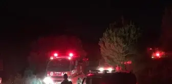 İzmir'in Torbalı İlçesinde Orman Yangını