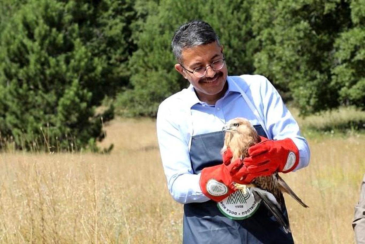 Kütahya Valisi Ali Çelik, Kızıl Şahini\'ni doğaya bıraktı