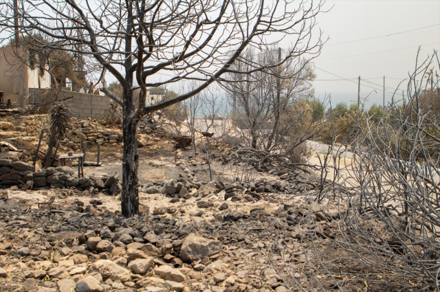 Yunanistan'da Devam Eden Orman Yangınları Kontrol Altına Alınamıyor