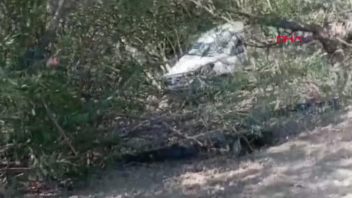 Adana\'da Otomobilin Yuvarlanması Sonucu Sürücü Hayatını Kaybetti