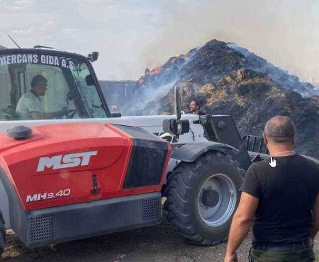 33 büyükbaş hayvan ahırda çıkan yangında diri diri yandı 33 büyükbaş hayvan ahırda çıkan yangında diri diri yandı