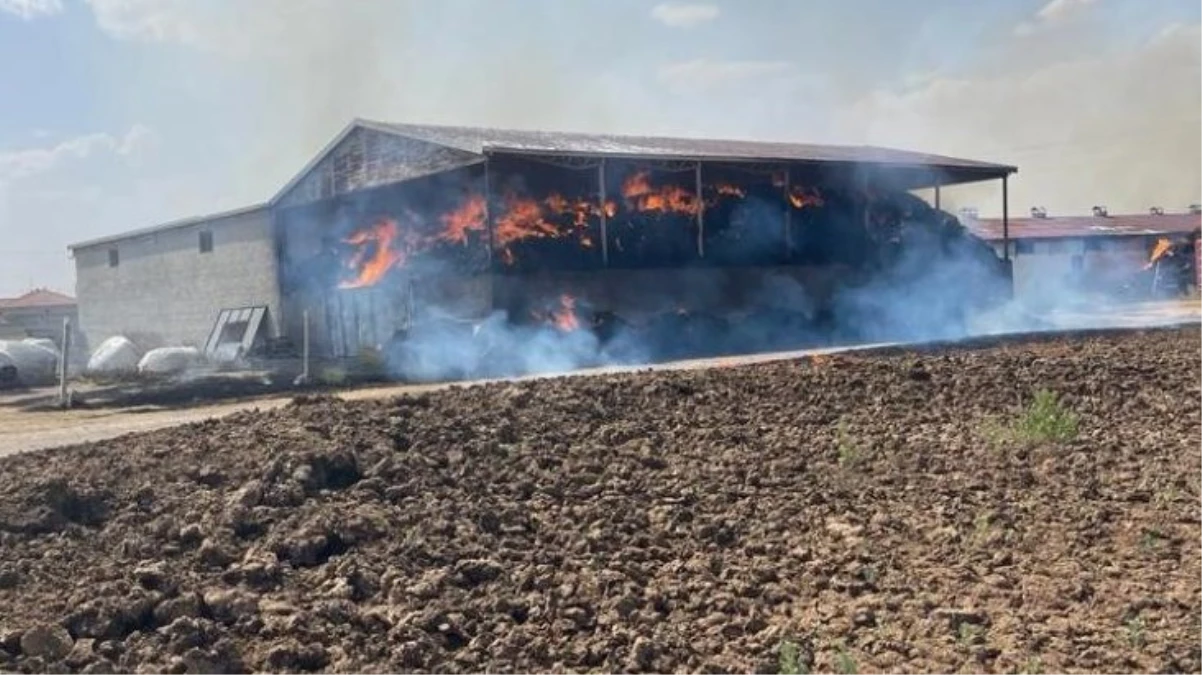 Kulu\'da çiftlik yangınında 33 büyükbaş hayvan öldü