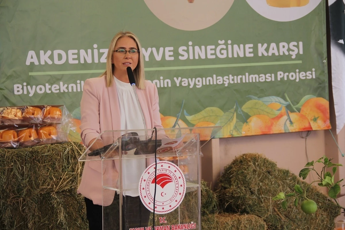 AK Parti İzmir Milletvekili Ceyda Bölünmez Çankırı, Menderes ilçesinde muhtarlarla bir araya geldi
