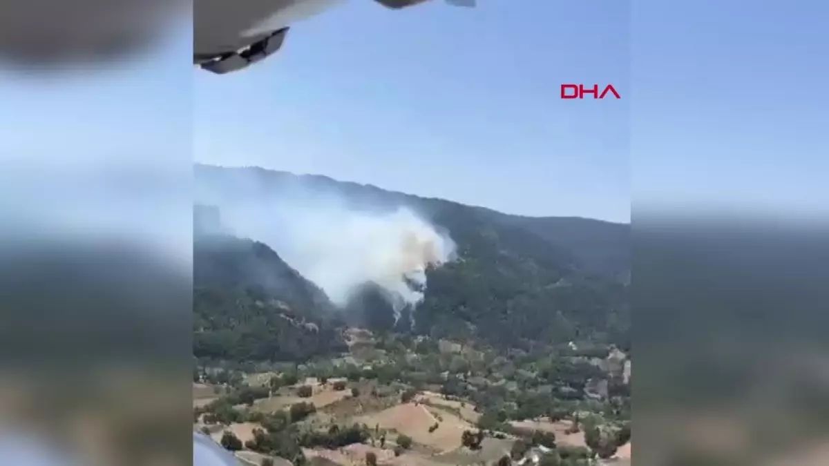 Balıkesir İvrindi\'de Ormanda Yangın Çıktı