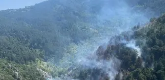 Balıkesir'de orman yangını (2)