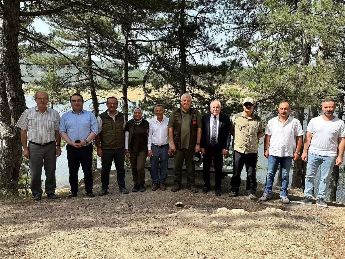 Güdül Belediye Başkanı ve Doğa Koruma Müdürü Sorgun Tabiat Parkı\'nda incelemelerde bulundu