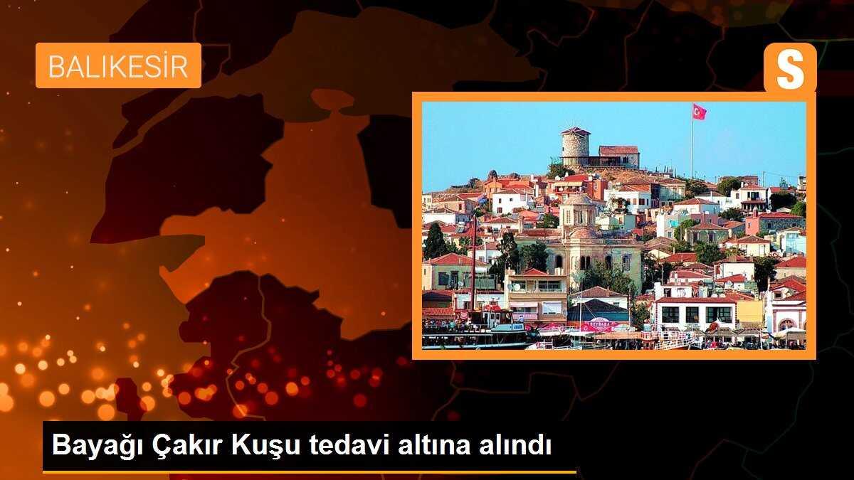 Bayağı Çakır Kuşu tedavi altına alındı