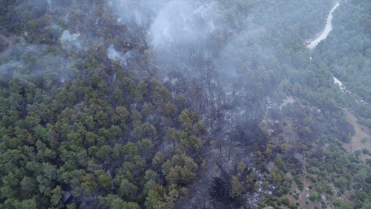 Çanakkale\'deki Orman Yangını Dron ile Görüntülendi