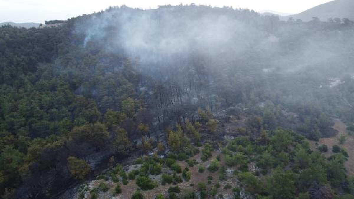 Çanakkale Sarıbeyli köyünde orman yangını devam ediyor